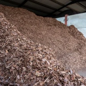 Pine Bark