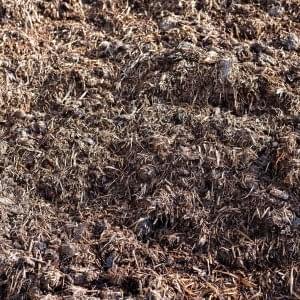 Compost & Topsoil