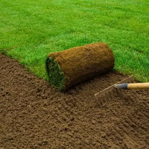 KPS Amenity Turf